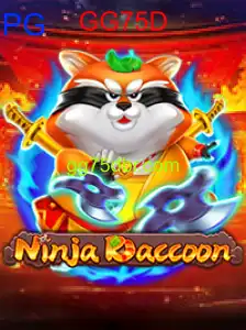 NinjaRaccoon